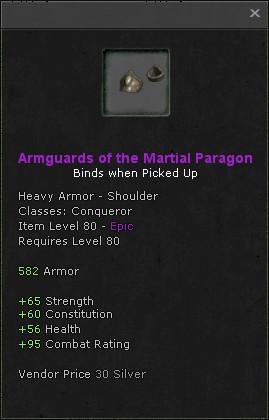 Shoulders: Armguards of the Martial Paragon